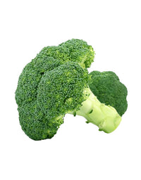 Example Broccoli
