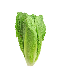 Example Cabbage
